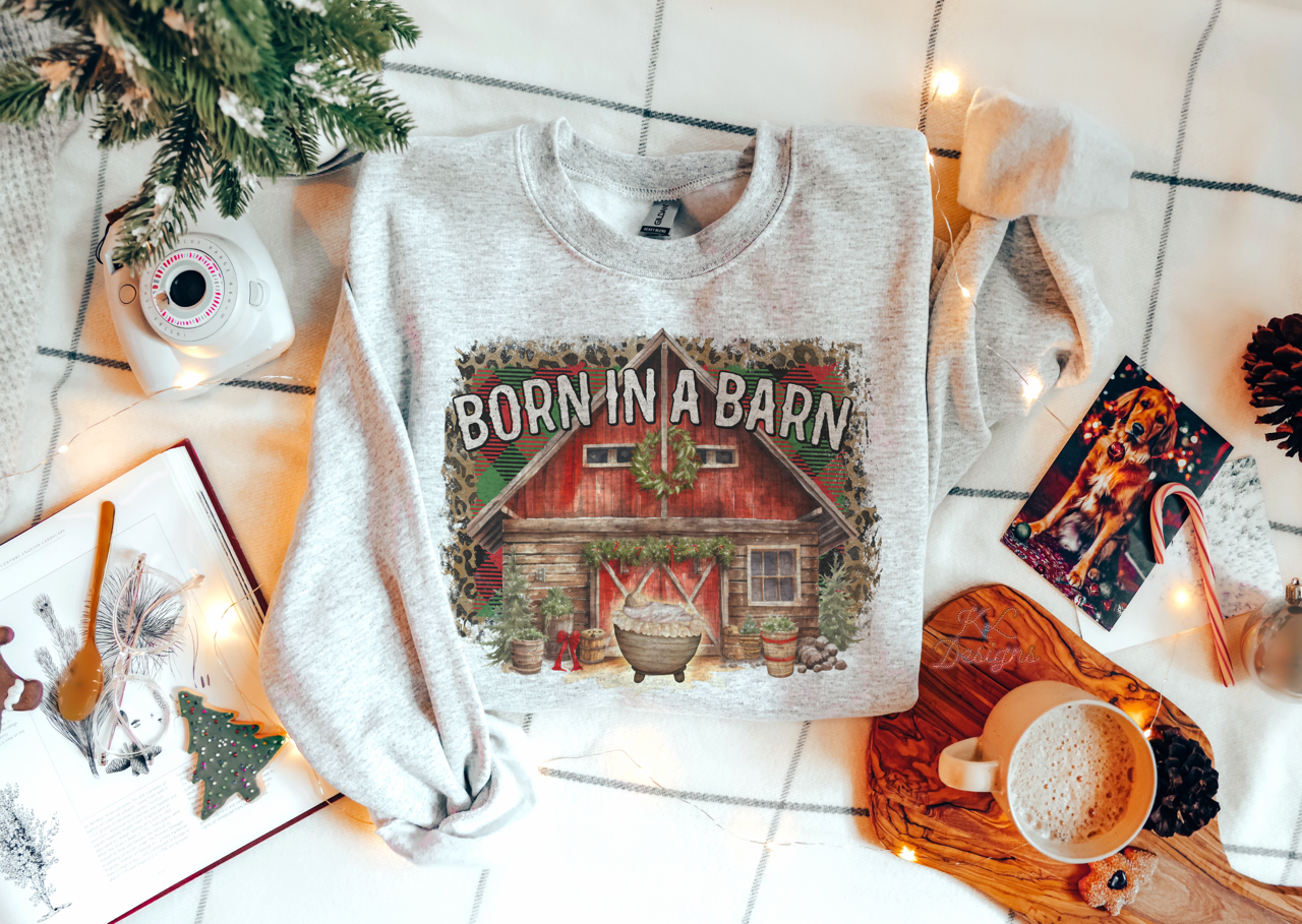 Born In A Barn
