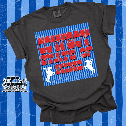 Striped Cowboy State Of Mind