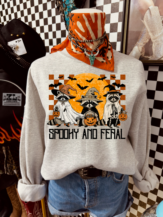 Spooky & Feral Raccoons