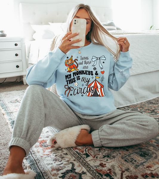 Turns Out This Is My Circus