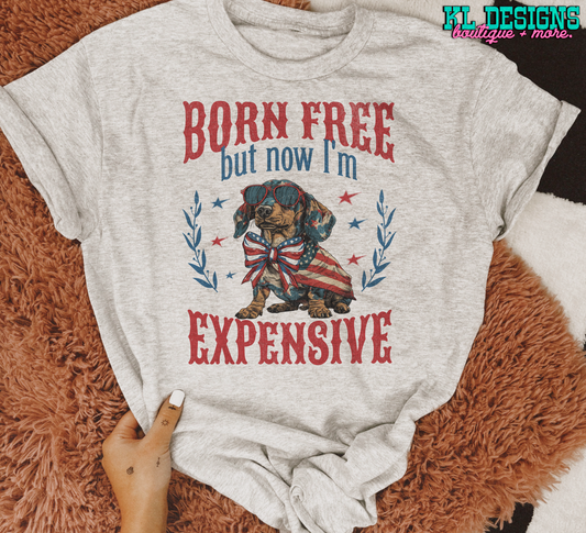 Born Free - Now I’m Expensive Dog