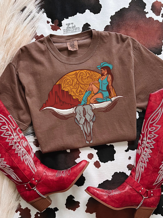 Outlaws & Longhorns